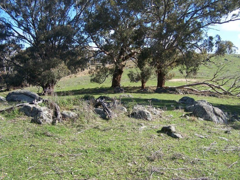 Lot 5 Greenmantle Road, Bigga NSW 2583
