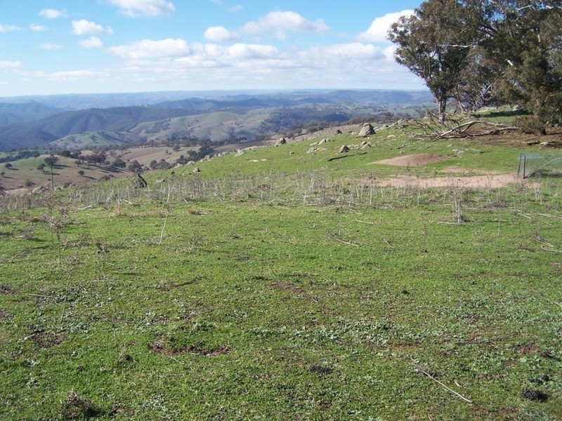 Lot 5 Greenmantle Road, Bigga NSW 2583