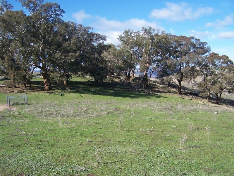 Lot 5 Greenmantle Road, Bigga NSW 2583
