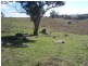 Lot 5 Greenmantle Road, Bigga NSW 2583