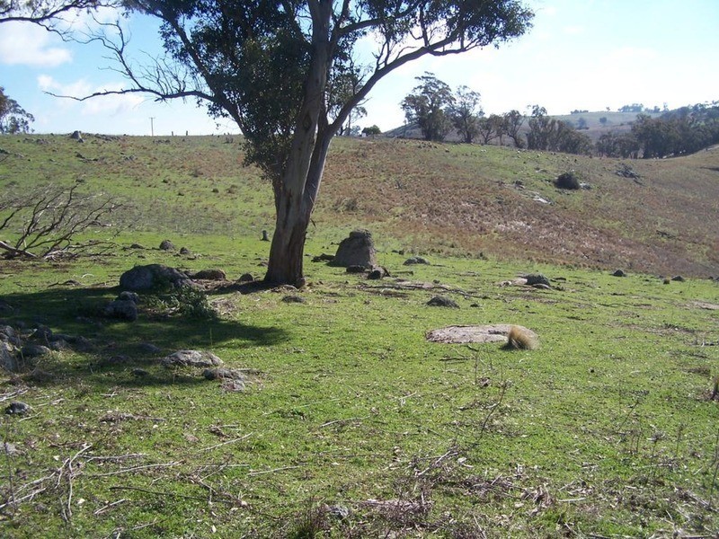 Lot 5 Greenmantle Road, Bigga NSW 2583