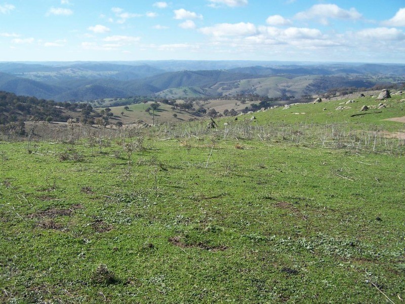 Lot 5 Greenmantle Road, Bigga NSW 2583
