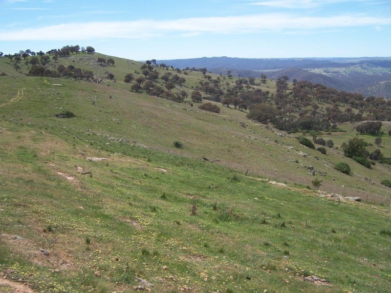 Lot 4 Greenmantle Road, Bigga NSW 2583