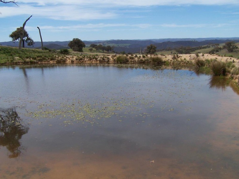 Lot 4 Greenmantle Road, Bigga NSW 2583
