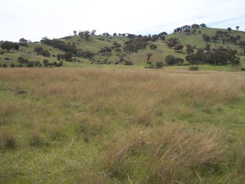 Lot 4 Greenmantle Road, Bigga NSW 2583