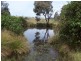 Lot 4 Greenmantle Road, Bigga NSW 2583
