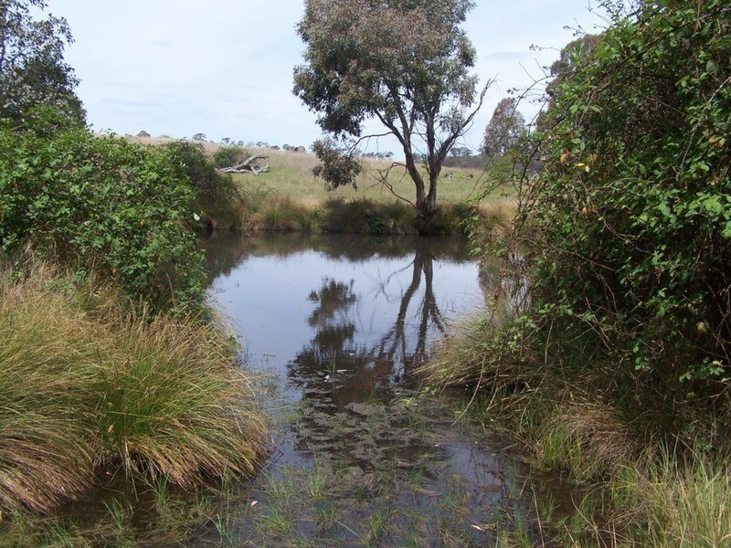 Lot 4 Greenmantle Road, Bigga NSW 2583