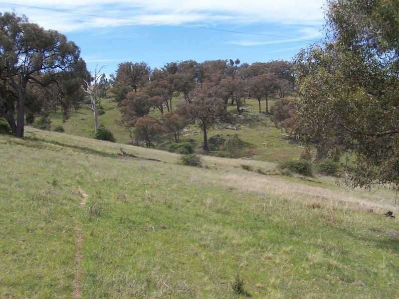 Lot 4 Greenmantle Road, Bigga NSW 2583