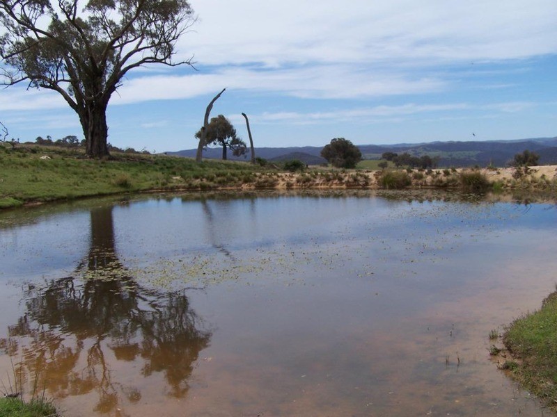 Lot 4 Greenmantle Road, Bigga NSW 2583