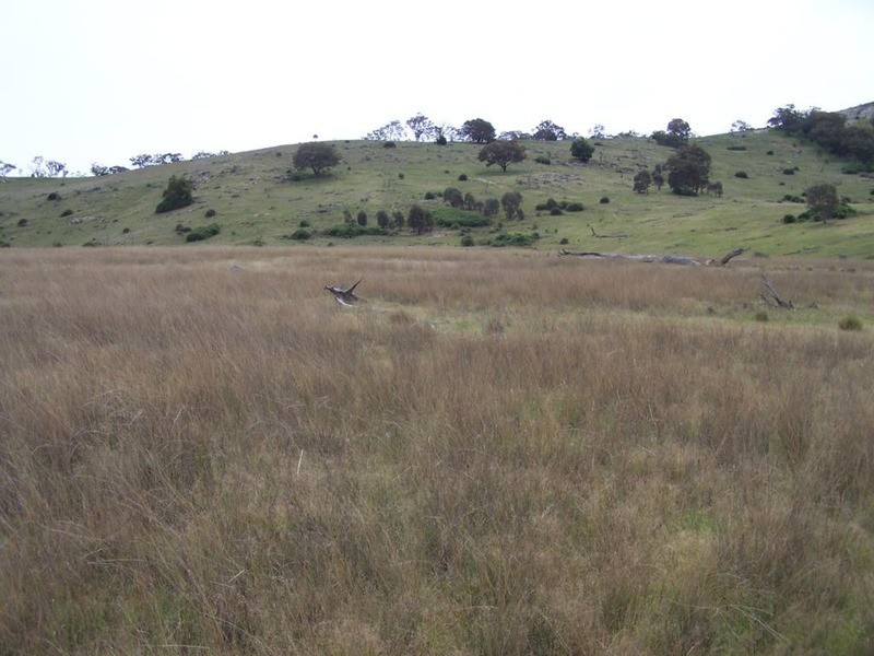 Lot 4 Greenmantle Road, Bigga NSW 2583