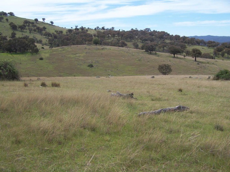 Lot 4 Greenmantle Road, Bigga NSW 2583