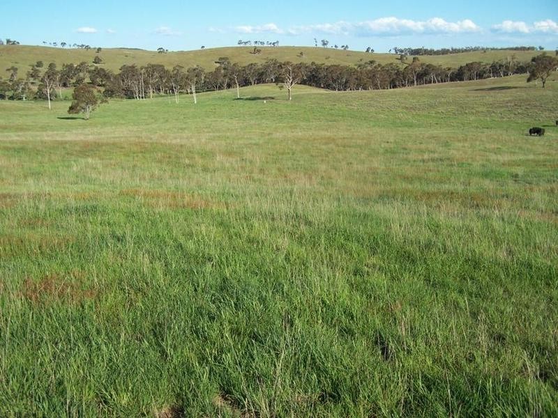 Lot 19 Mount Wayo Drive, Woodhouselee NSW 2580