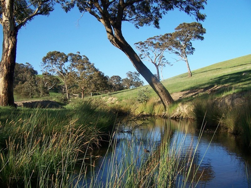 Lot 19 Mount Wayo Drive, Woodhouselee NSW 2580