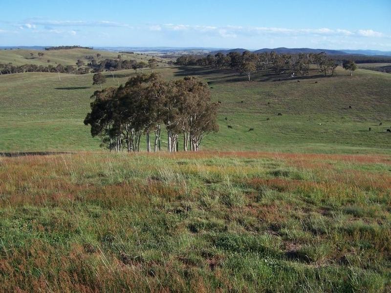 Lot 19 Mount Wayo Drive, Woodhouselee NSW 2580