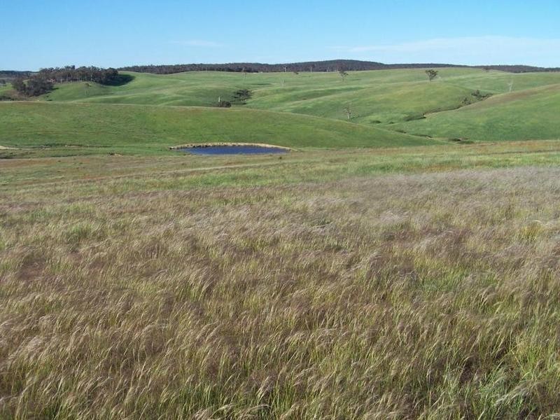 Lot 19 Mount Wayo Drive, Woodhouselee NSW 2580