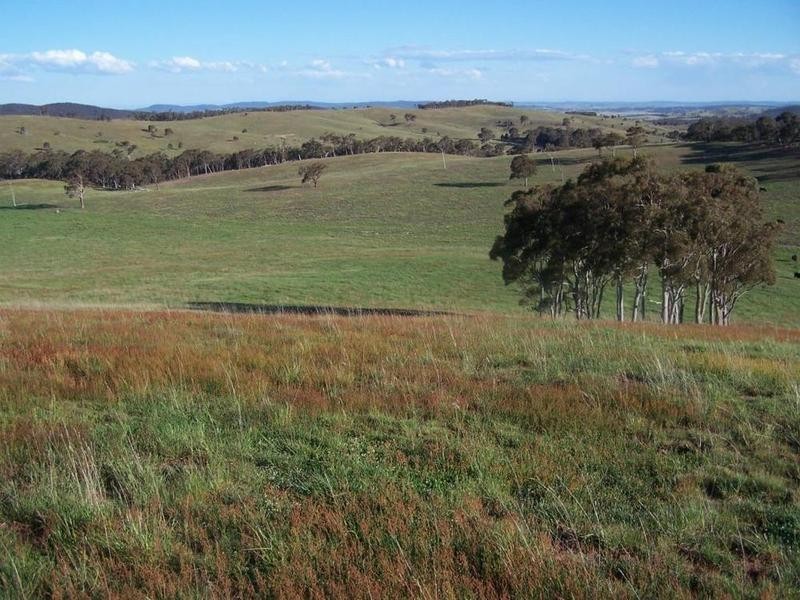 Lot 19 Mount Wayo Drive, Woodhouselee NSW 2580