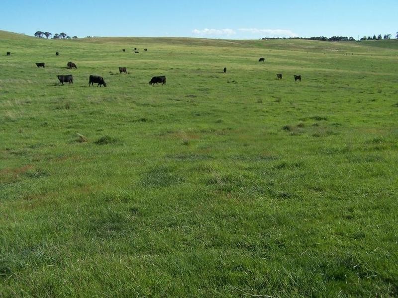 Lot 19 Mount Wayo Drive, Woodhouselee NSW 2580