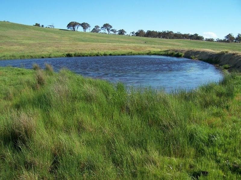 Lot 19 Mount Wayo Drive, Woodhouselee NSW 2580