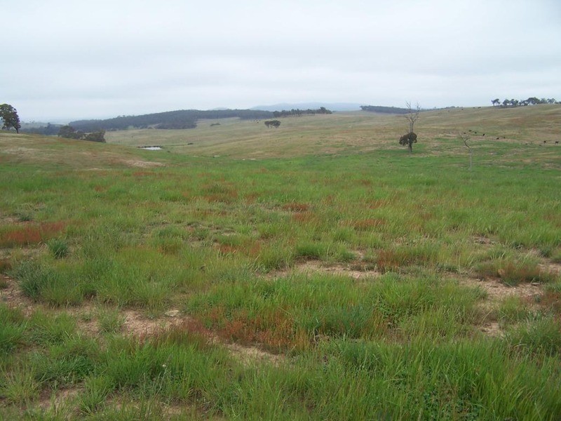 Lot 23 Mount Wayo Drive, Woodhouselee NSW 2580