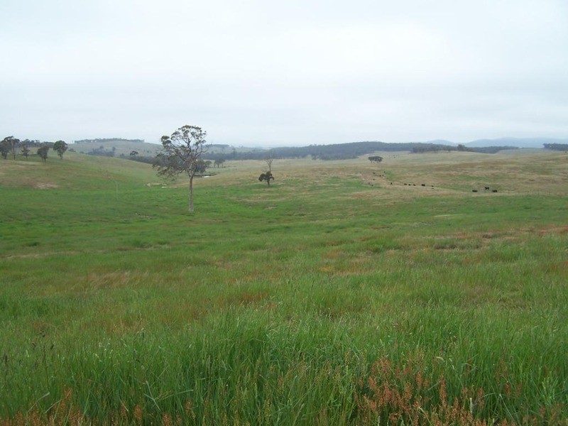 Lot 23 Mount Wayo Drive, Woodhouselee NSW 2580