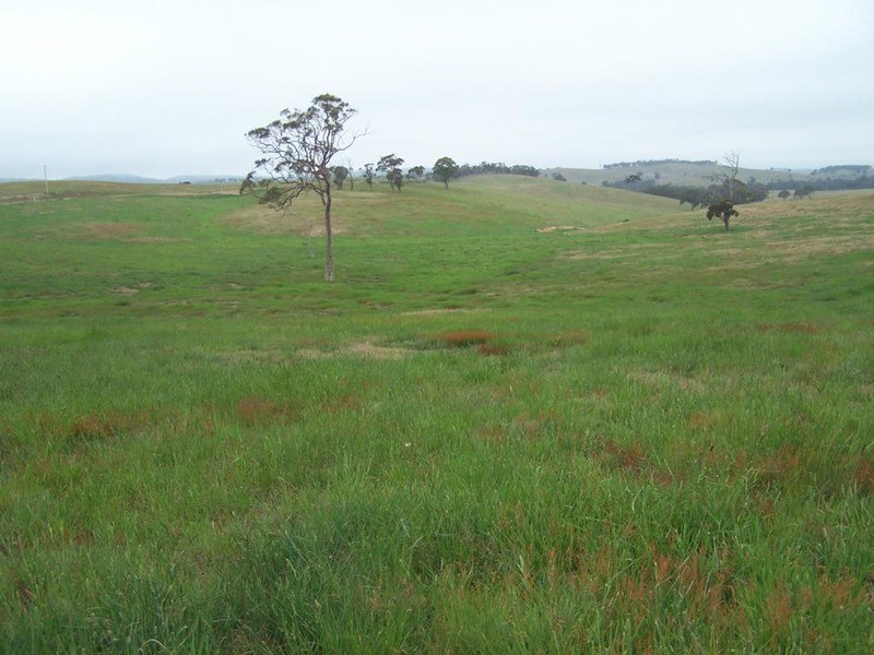 Lot 23 Mount Wayo Drive, Woodhouselee NSW 2580