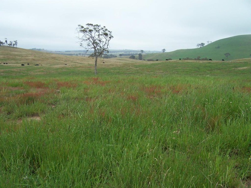Lot 23 Mount Wayo Drive, Woodhouselee NSW 2580