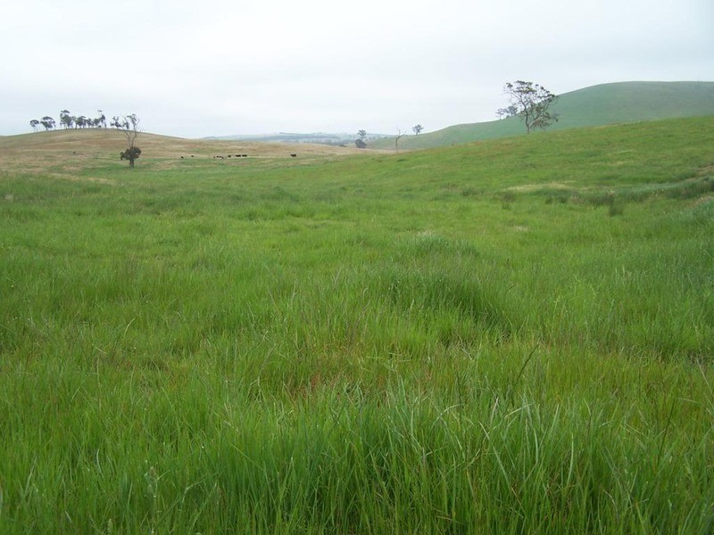 Lot 23 Mount Wayo Drive, Woodhouselee NSW 2580