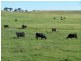 Lot 4 Trappers Way, Woodhouselee NSW 2580