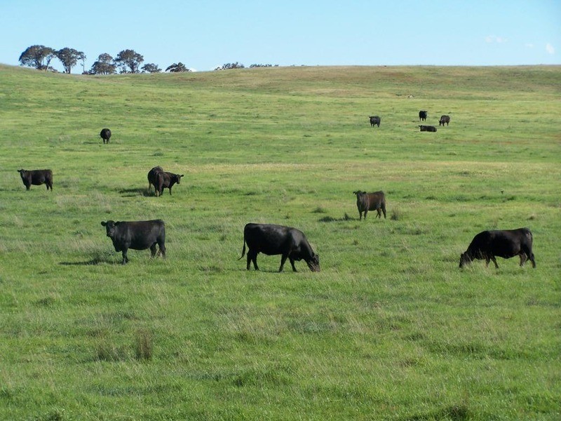 Lot 4 Trappers Way, Woodhouselee NSW 2580