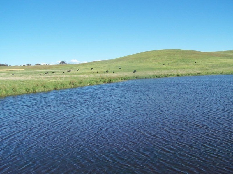 Lot 4 Trappers Way, Woodhouselee NSW 2580
