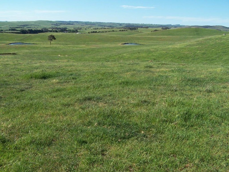Lot 4 Trappers Way, Woodhouselee NSW 2580