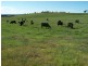 Lot 4 Trappers Way, Woodhouselee NSW 2580