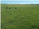 Lot 4 Trappers Way, Woodhouselee NSW 2580