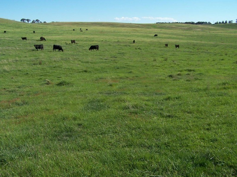 Lot 4 Trappers Way, Woodhouselee NSW 2580