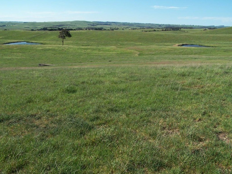 Lot 4 Trappers Way, Woodhouselee NSW 2580