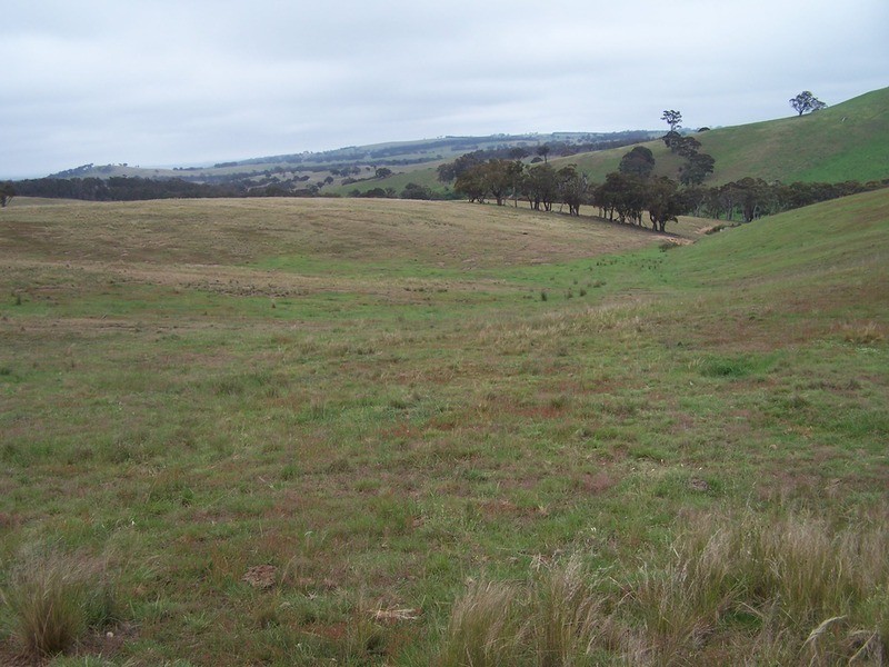 50 Mount Wayo Drive, Woodhouselee NSW 2580