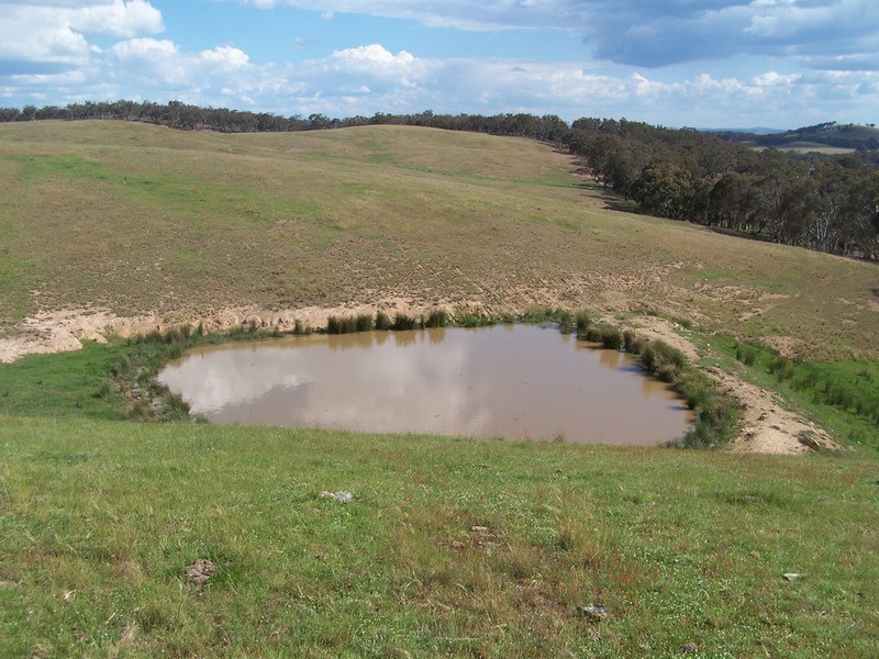 50 Mount Wayo Drive, Woodhouselee NSW 2580