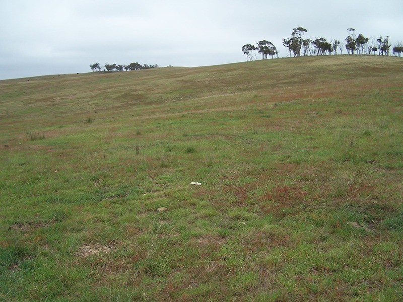 50 Mount Wayo Drive, Woodhouselee NSW 2580