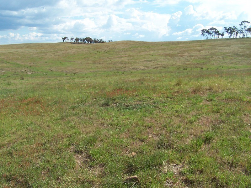 50 Mount Wayo Drive, Woodhouselee NSW 2580