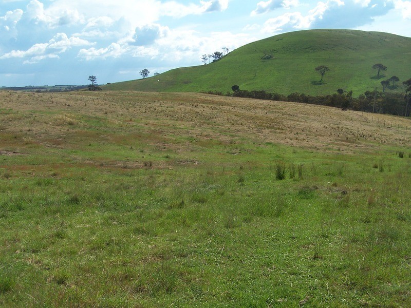 50 Mount Wayo Drive, Woodhouselee NSW 2580