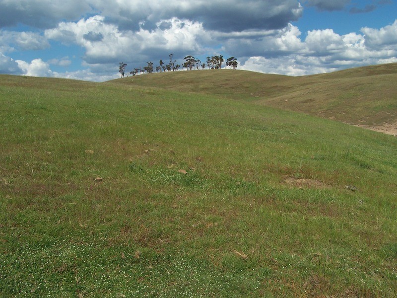 50 Mount Wayo Drive, Woodhouselee NSW 2580