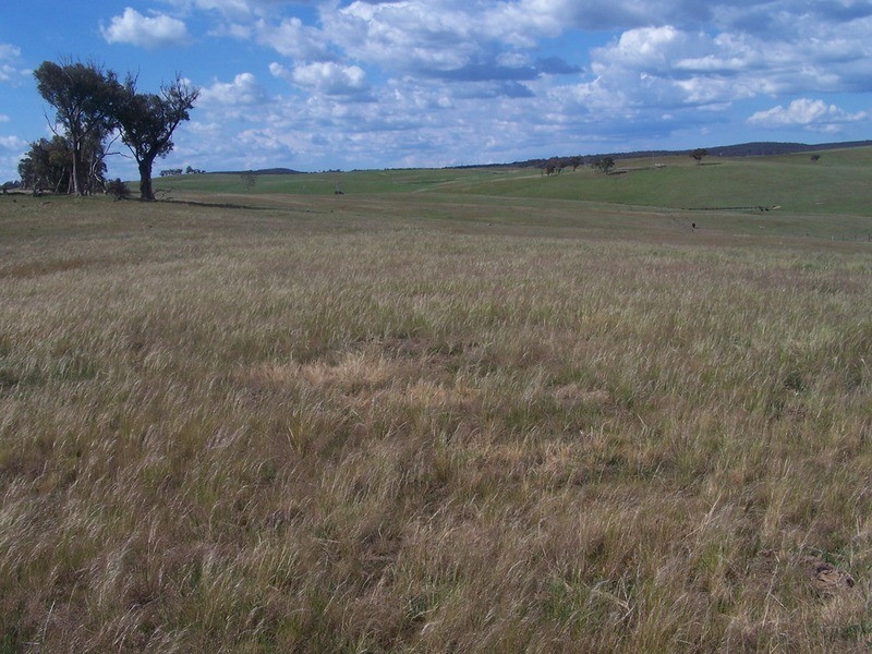 50 Mount Wayo Drive, Woodhouselee NSW 2580