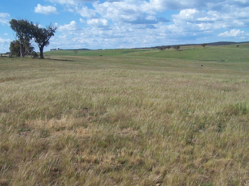 50 Mount Wayo Drive, Woodhouselee NSW 2580