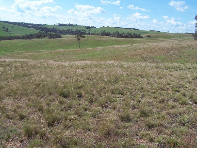 50 Mount Wayo Drive, Woodhouselee NSW 2580