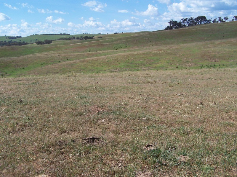 50 Mount Wayo Drive, Woodhouselee NSW 2580