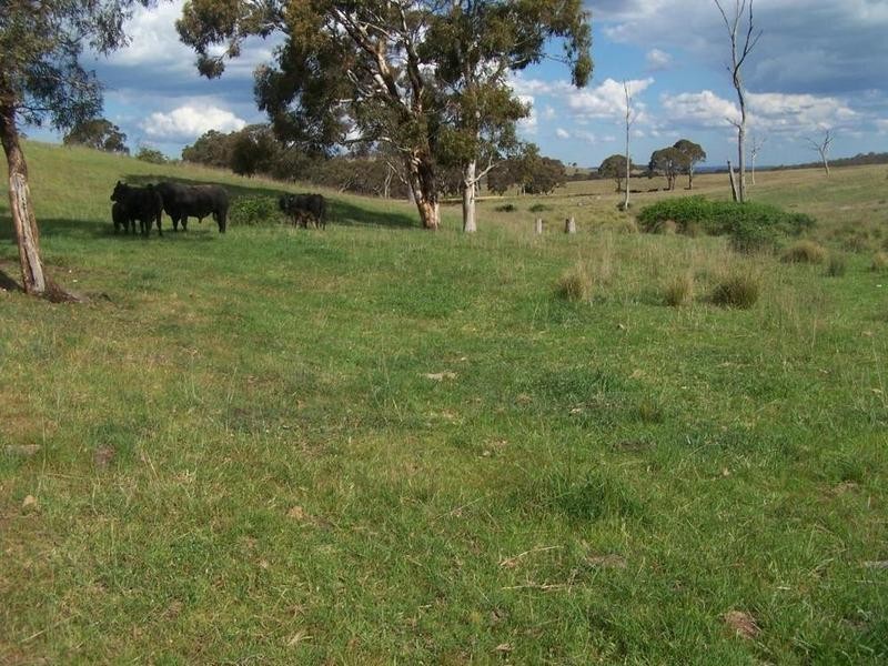 Lot 21 Mount Wayo Drive, Woodhouselee NSW 2580