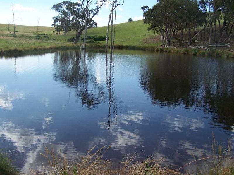 Lot 21 Mount Wayo Drive, Woodhouselee NSW 2580