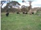 Lot 21 Mount Wayo Drive, Woodhouselee NSW 2580