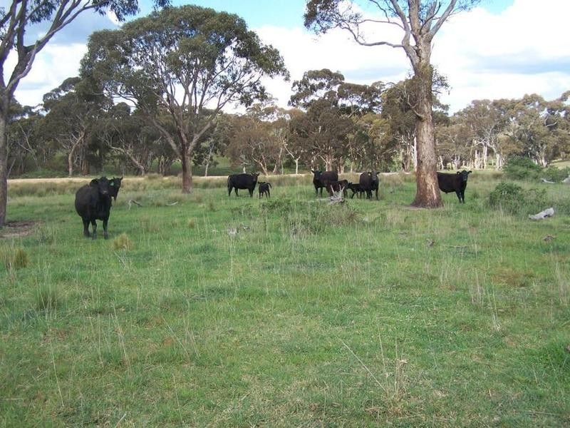 Lot 21 Mount Wayo Drive, Woodhouselee NSW 2580