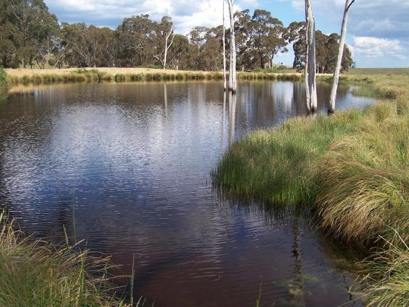 Lot 21 Mount Wayo Drive, Woodhouselee NSW 2580